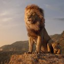 Mufasa The Lion King 이미지