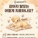 왜관동물병원 이미지