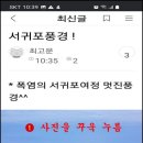 다음카페에 있는 사진을 카톡으로 보내는 방법 이미지