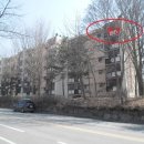 삼육사로07 이미지