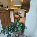 오들리샷 본점 이미지