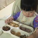 참돌식품 네이버블로그