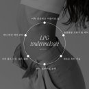 퀸즈바디 네이버블로그