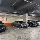 댕댕월드&퍼피 이미지