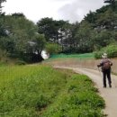 구정천 이미지