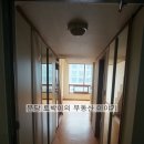 분당-367 이미지