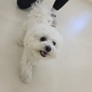 창우지하차도 옆 공원내 | [일상] 4월 3주차 - 여의도 한강공원(회전목마), 수원 경희대 겹벚꽃, 안국 가가바, 셋로그