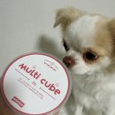 큐브케어 | ANICARE 애니케어 장어 발효 멀티큐브 강아지 영양간식 급여 후기!