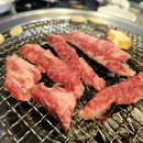 순한우암소한마리 이미지