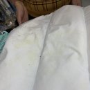 얼룩빼기 이박사 행복크리닝 | 흰색 롱패딩 황변,얼룩제거 전문 세탁소 [서초구 No.1 세탁소] 얼룩빼기 이박사 행복크리닝 (양재동)