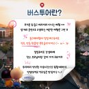 장투어여행사 티스토리