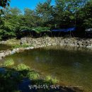 힐링별밤수목원캠핑장 이미지