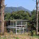 두밀숲캠핑장 이미지