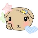 분당-135 이미지