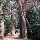 이순신의 바다 이미지