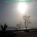 넝쿨횟집 이미지