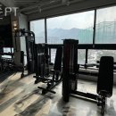 청춘P.T