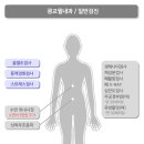 광교윌