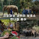 코끼리오락실 이미지