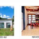 멍편한세상 이미지