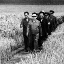 김정철양어장 네이버블로그