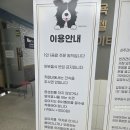 시티독 | 수원 애견카페 시티독 영통점 방문 후기