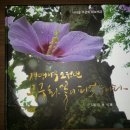 아리아리 이미지