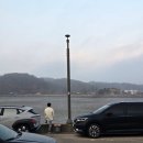 레몬트리펜션 | [대부도펜션타운] 단체 가족여행 숙소 레몬트리 다녀온 찐후기