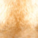 동탄24시동물의료센터 이미지