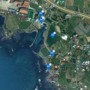 제주감귤농업협동조합 농산물산지유통센터(9유통) | 2026년 제주도 해안길 걷기(19) : 영락리에서 동일리포구를 거쳐 대정오일장까지