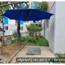 대전교촌초등학교 이미지