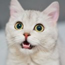 메가짐 강서 이미지