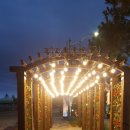 망상제2오토캠핑장 이미지