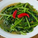 모닝글로리 이미지