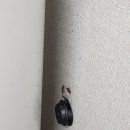 백마청소방역 네이버블로그