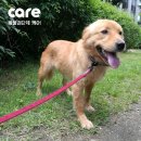 용순농장 이미지