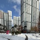 데굴데굴 이미지