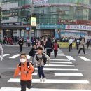 북가좌초등학교 이미지