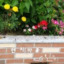 합덕연지마을 이미지