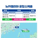 카멜리아 이미지