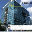 성지스타위드 이미지