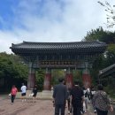 수덕사 대형주차장 | 충남 예산 수덕사 그리고 서산 해미숲 카페 내돈내산 후기