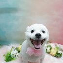 착한두부 이미지