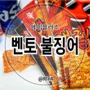 맥주안주로 최고인 바삭한 오징어 [벤토 불징어 5종] 솔직후기
