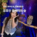 부엉이오리마을 | 일본 후쿠오카 유후인 여행 플로랄빌리지 부엉이 올빼미의 숲