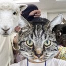 대변병설유치원 이미지