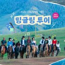 더하나투어 이미지