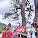 이미개 농장 이미지