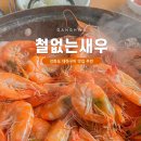 철없는 새우 이미지