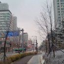 대림아파트 상가 건너편 이미지